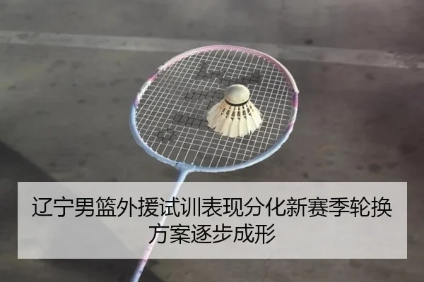 辽宁男篮外援试训表现分化新赛季轮换方案逐步成形